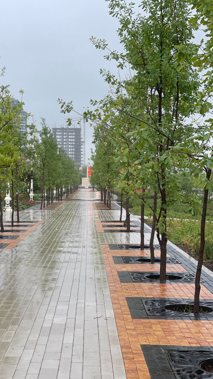 Приствольная решетка для дерева ZKING CRUST 1.2х1.2м Черная в Иркутске фото