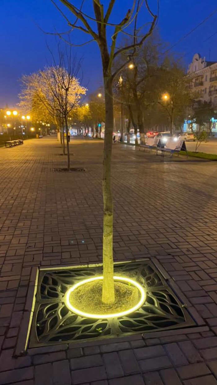 Приствольная решетка для дерева ZKING CRUST 1.2х1.2м Черная в Иркутске фото